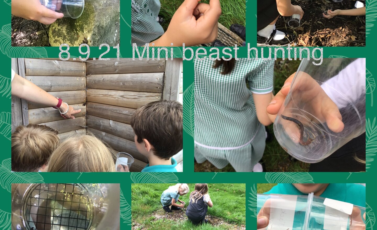 Image of Mini beast hunt